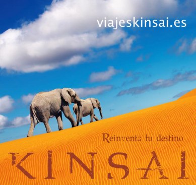 Kinsai_Cartel_Elefantes