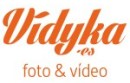 logo vidyka