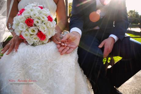 13173105_1793597807534629_3341661407014729910_o