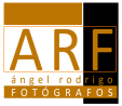 Logo arf fotografo